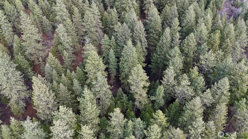 Property photo for 817 Dominion Springs Way, Colville photo 25