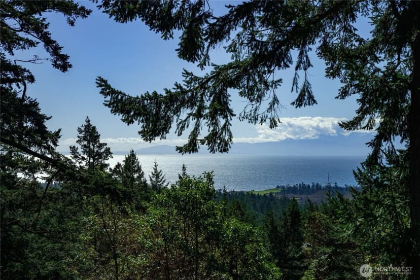 Property photo for 391 Little Mountain Road, Friday Harbor photo 16