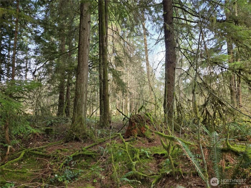 Property photo for 197 Xx 242nd Avenue Ne, Woodinville photo 18