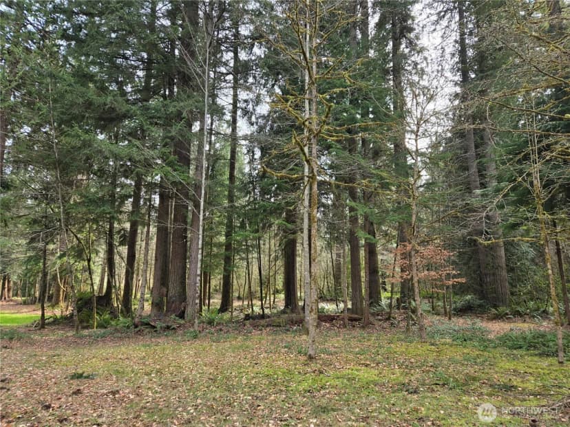 Property photo for 197 Xx 242nd Avenue Ne, Woodinville photo 29