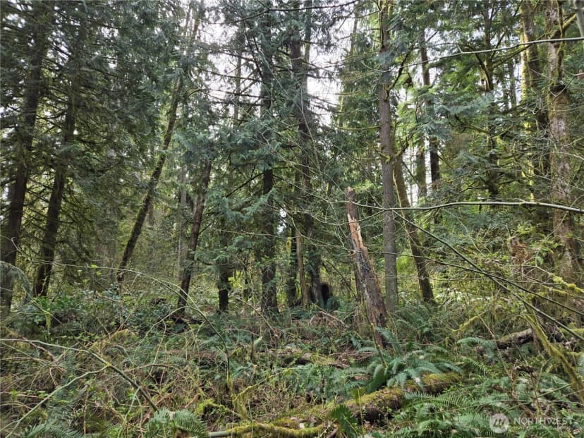 Property photo for 197 Xx 242nd Avenue Ne, Woodinville photo 22