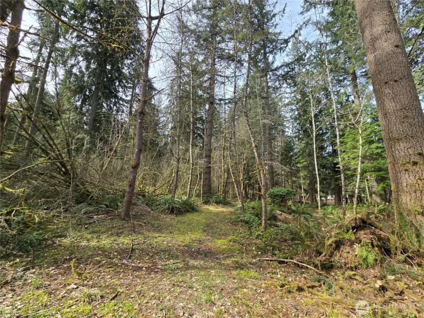 Property photo for 197 Xx 242nd Avenue Ne, Woodinville photo 23