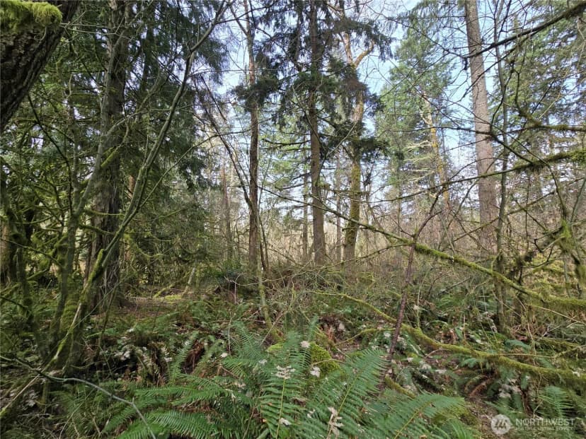 Property photo for 197 Xx 242nd Avenue Ne, Woodinville photo 11