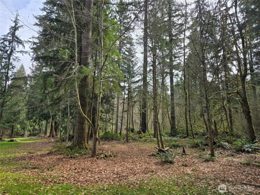Property photo for 197 Xx 242nd Avenue Ne, Woodinville photo 14