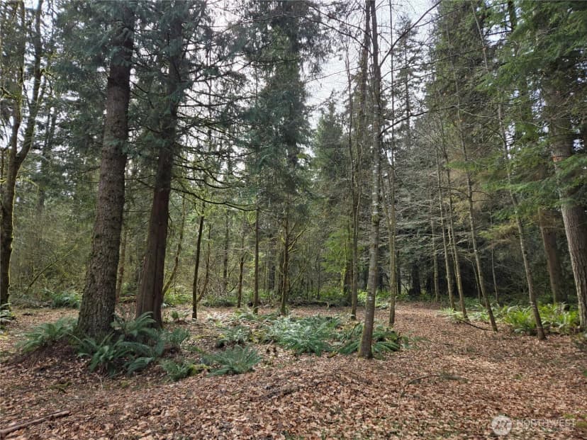 Property photo for 197 Xx 242nd Avenue Ne, Woodinville photo 13