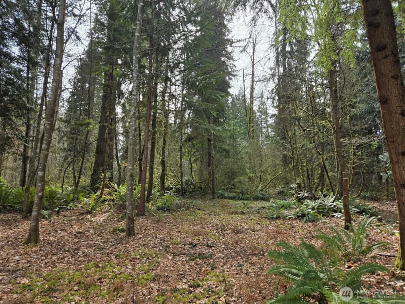 Property photo for 197 Xx 242nd Avenue Ne, Woodinville photo 26