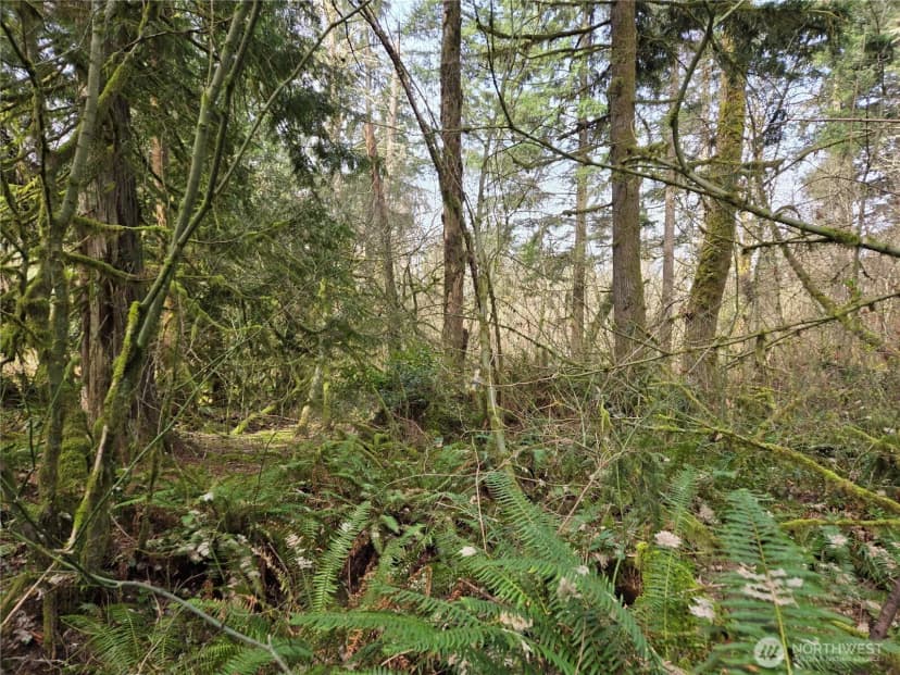 Property photo for 197 Xx 242nd Avenue Ne, Woodinville photo 12