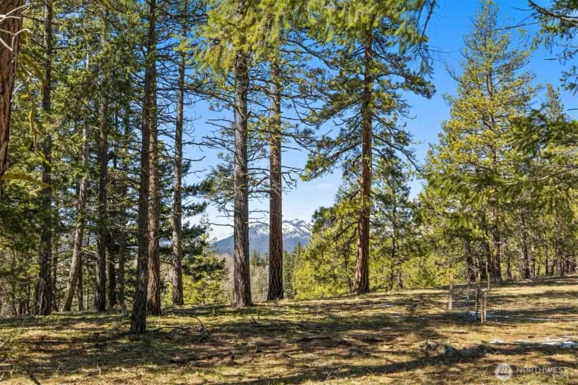 Property photo for 36 Wanawish Loop, Cle Elum photo 9