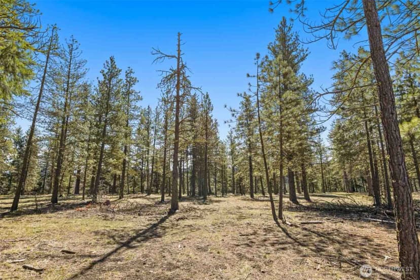 Property photo for 36 Wanawish Loop, Cle Elum photo 11