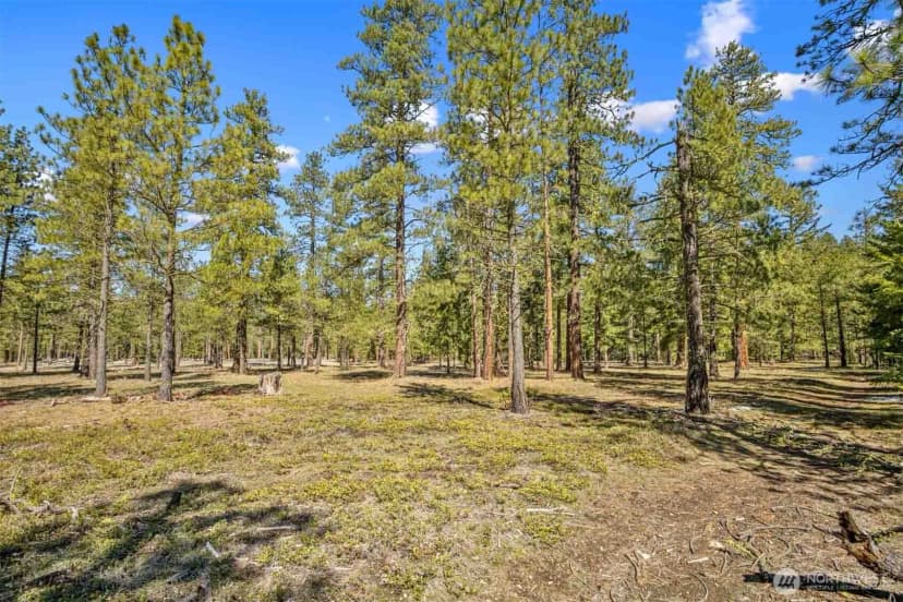 Property photo for 38 Wanawish Loop, Cle Elum photo 26