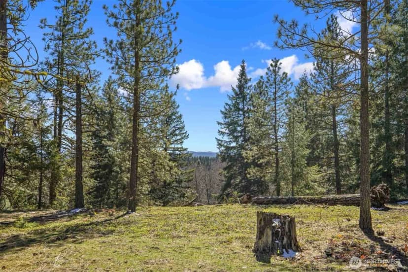 Property photo for 38 Wanawish Loop, Cle Elum photo 25