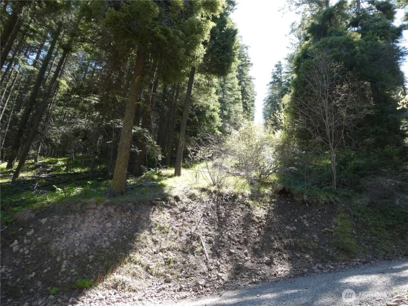 Property photo for 831 Horse Heaven Road, Cle Elum photo 25