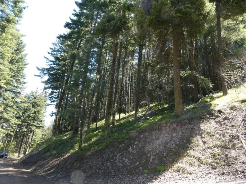Property photo for 831 Horse Heaven Road, Cle Elum photo 23