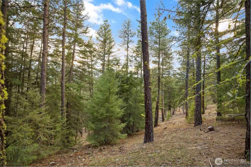 Property photo for 28 Wanawish Loop, Cle Elum photo 31