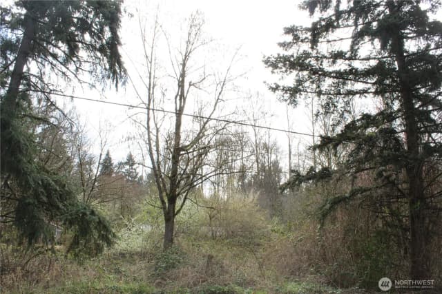 Property photo for 0 121 Street E, Tacoma photo 3