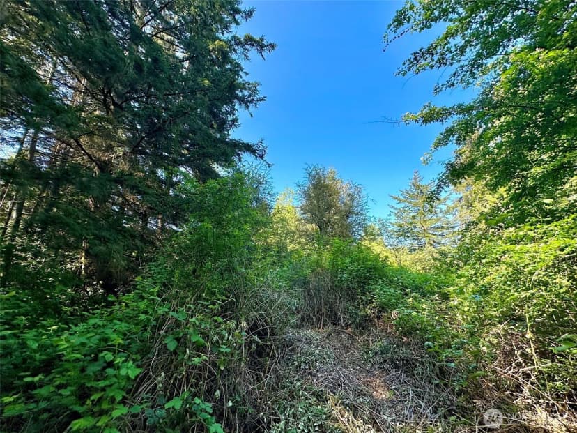 Property photo for 0 Xxxx Ne State Highway 104, Kingston photo 14