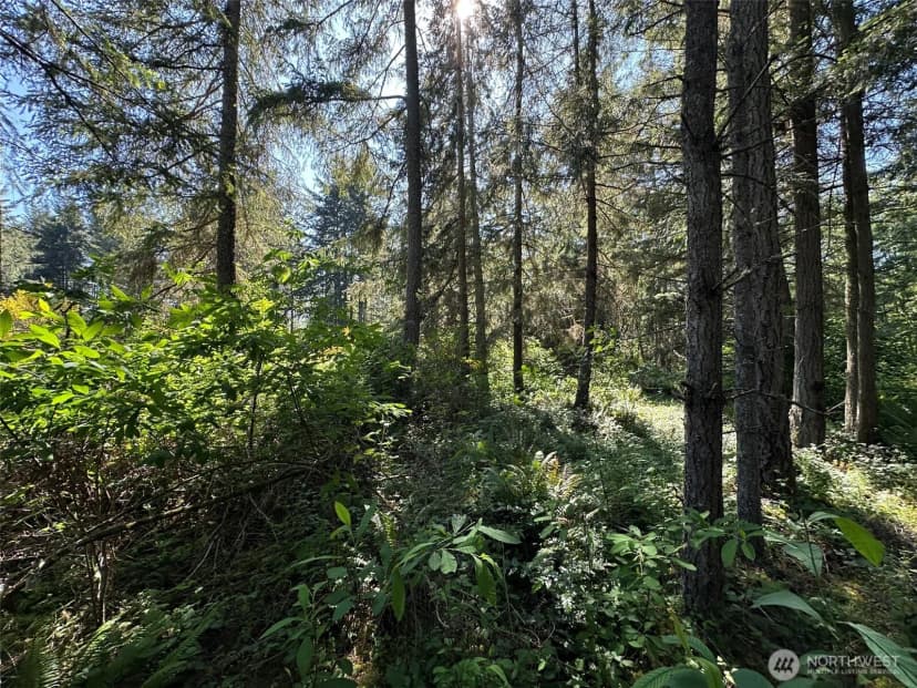 Property photo for 0 Xxxx Ne State Highway 104, Kingston photo 18