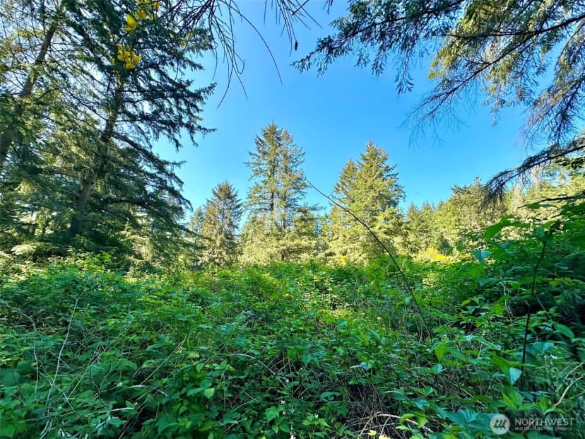 Property photo for 0 Xxxx Ne State Highway 104, Kingston photo 15