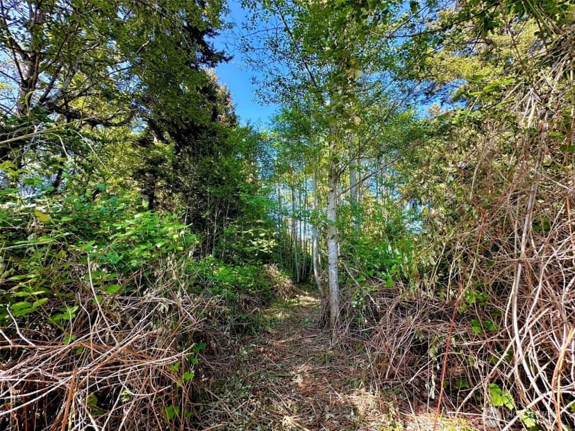 Property photo for 0 Xxxx Ne State Highway 104, Kingston photo 8