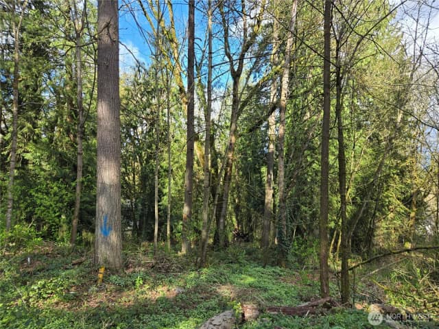 Property photo for 54 Xx S 344th Street, Auburn