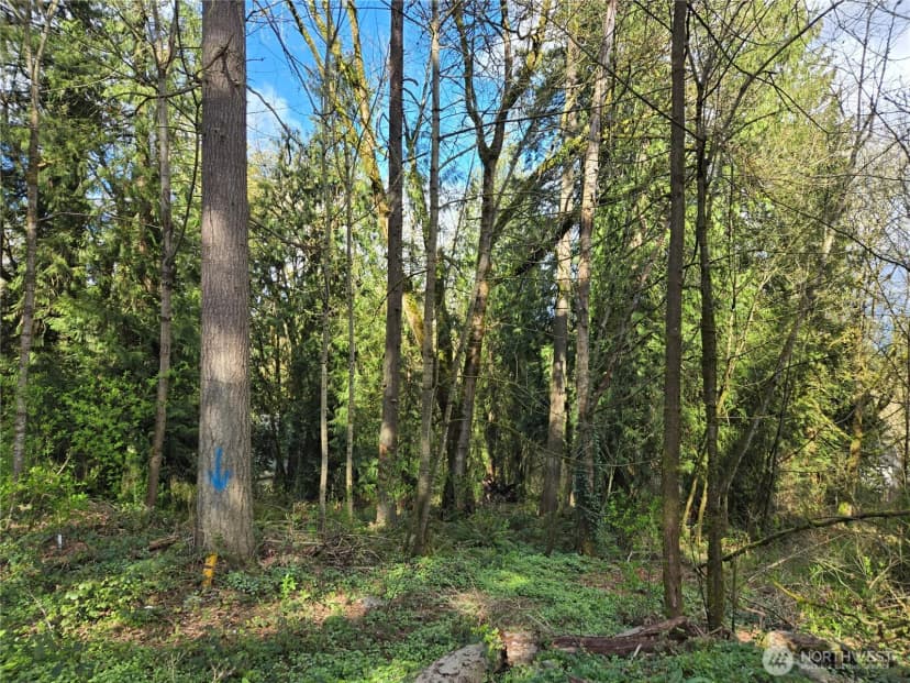 Property photo for 54 Xx S 344th Street, Auburn