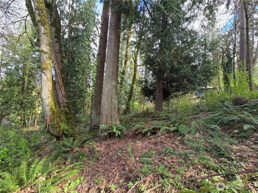 Property photo for 54 Xx S 344th Street, Auburn photo 12