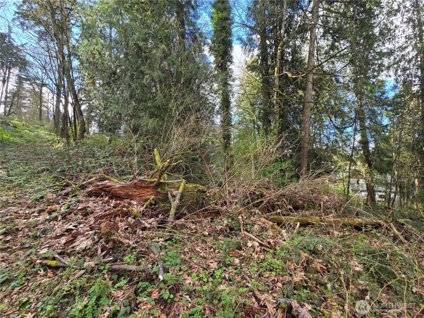 Property photo for 54 Xx S 344th Street, Auburn photo 19