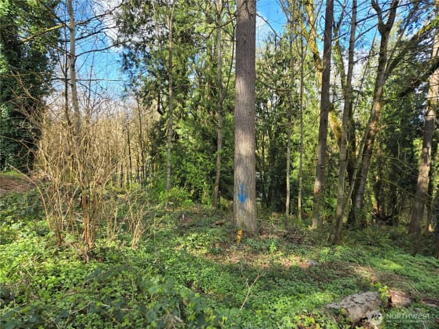 Property photo for 54 Xx S 344th Street, Auburn photo 4