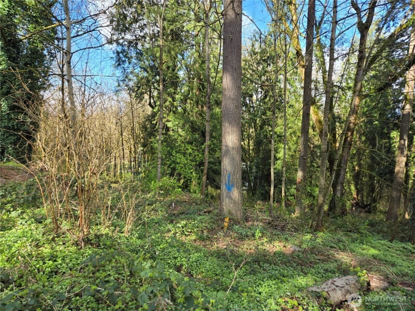 Property photo for 54 Xx S 344th Street, Auburn photo 4