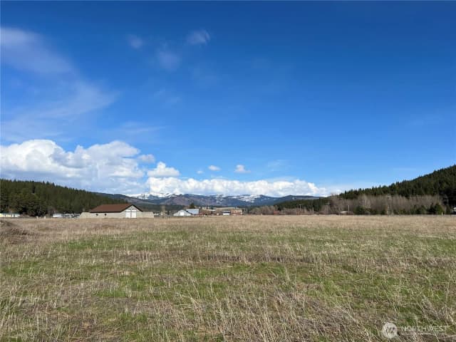 Property photo for 0 Xxx Red Bridge Road, Cle Elum photo 3