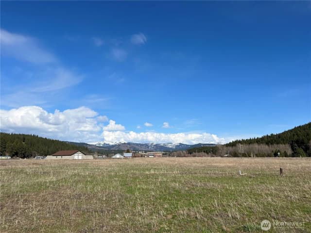 Property photo for 0 Xxx Red Bridge Road, Cle Elum photo 4