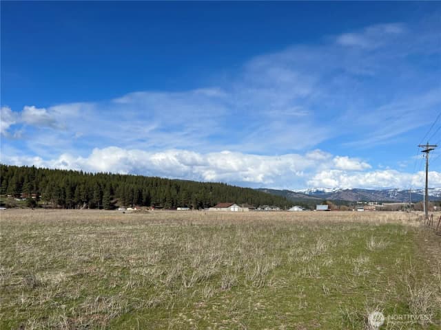 Property photo for 0 Xxx Red Bridge Road, Cle Elum photo 5