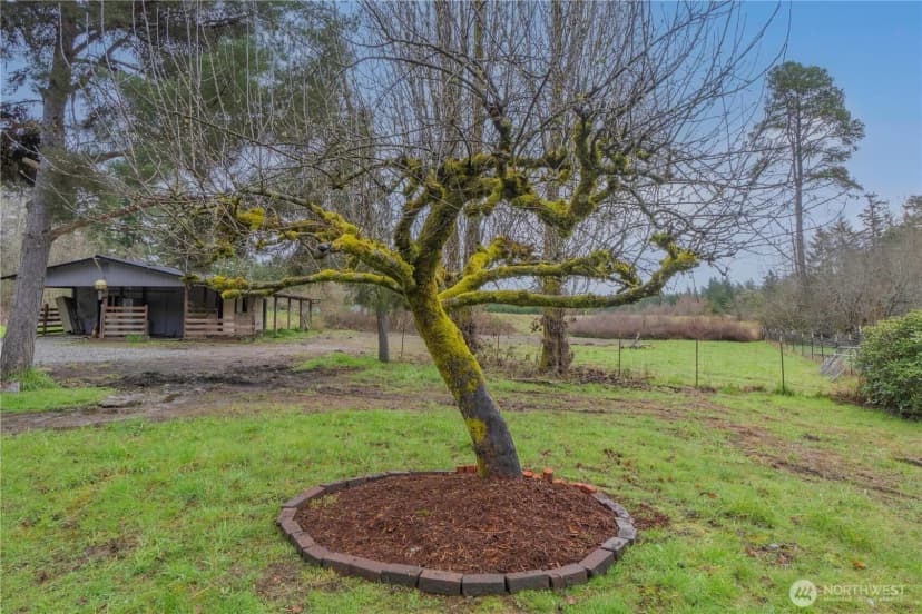 Property photo for 2803 77th Avenue Ne, Olympia photo 29