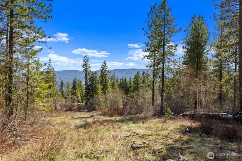 Property photo for 6 Forest Ridge (lot 6) Drive, Cle Elum photo 10