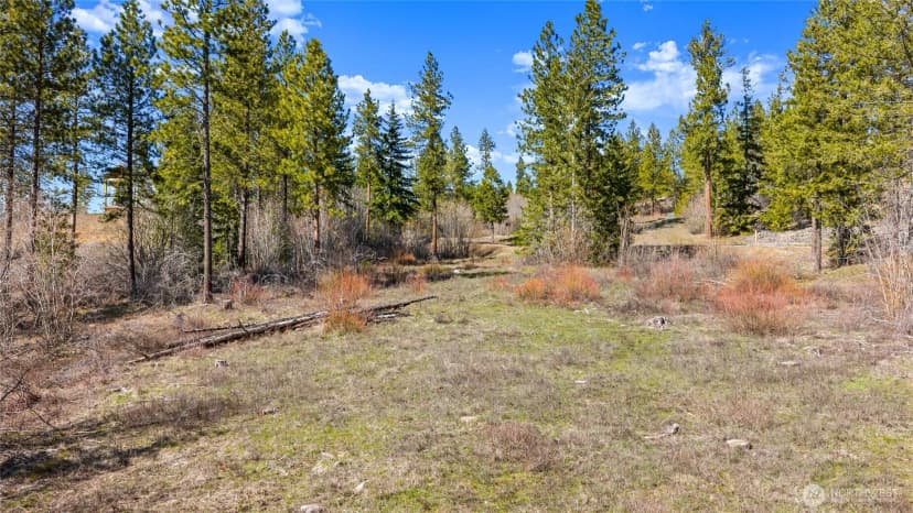 Property photo for 6 Forest Ridge (lot 6) Drive, Cle Elum photo 28