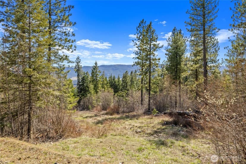 Property photo for 6 Forest Ridge (lot 6) Drive, Cle Elum