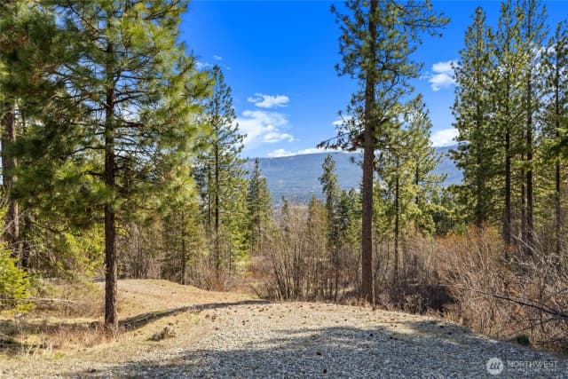 Property photo for 6 Forest Ridge (lot 6) Drive, Cle Elum photo 2