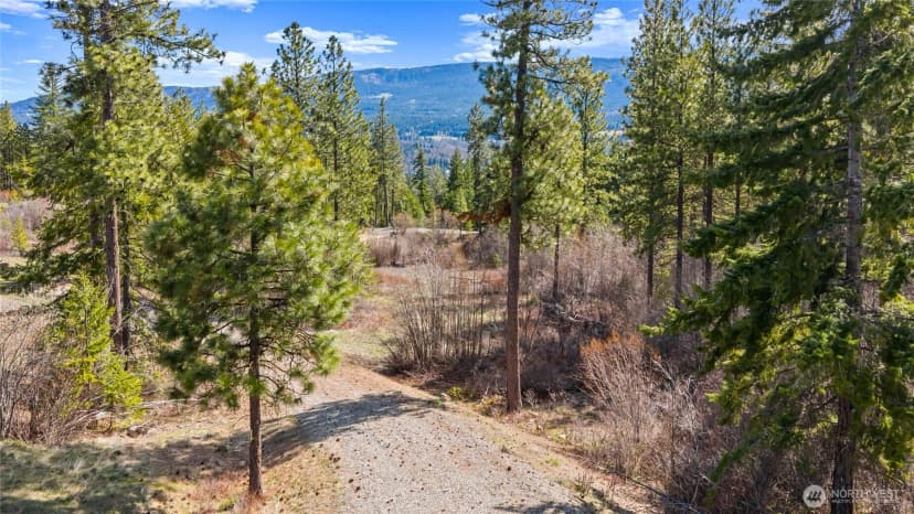 Property photo for 6 Forest Ridge (lot 6) Drive, Cle Elum photo 12