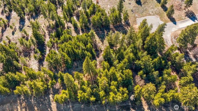 Property photo for 78 Forest Ridge (lot 78) Drive, Cle Elum photo 14