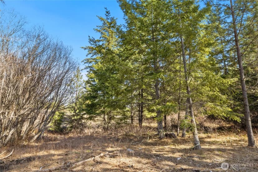 Property photo for 78 Forest Ridge (lot 78) Drive, Cle Elum photo 3