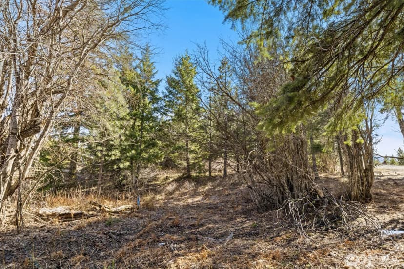 Property photo for 78 Forest Ridge (lot 78) Drive, Cle Elum photo 4