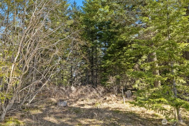 Property photo for 78 Forest Ridge (lot 78) Drive, Cle Elum photo 2