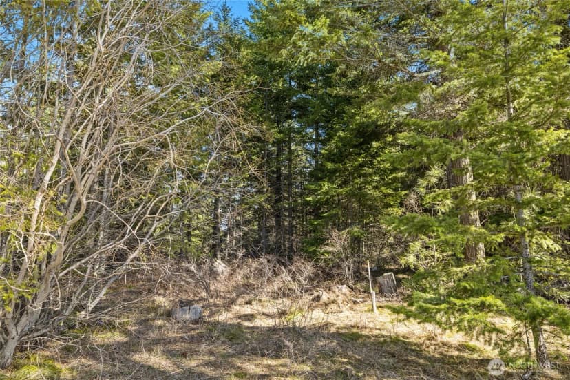 Property photo for 78 Forest Ridge (lot 78) Drive, Cle Elum photo 2