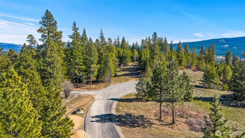 Property photo for 78 Forest Ridge (lot 78) Drive, Cle Elum photo 19