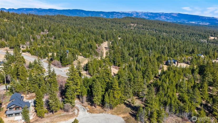 Property photo for 78 Forest Ridge (lot 78) Drive, Cle Elum photo 8