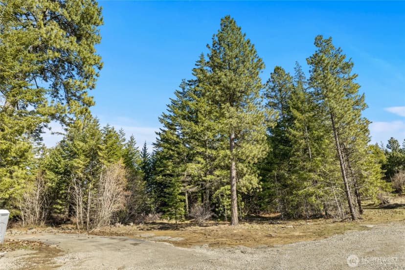 Property photo for 78 Forest Ridge (lot 78) Drive, Cle Elum