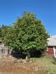 Property photo for 200 E Arizona Avenue, Roslyn photo 6