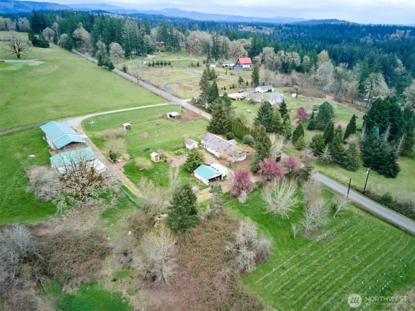 Property photo for 11700 Ne 279th Street, Battle Ground photo 37