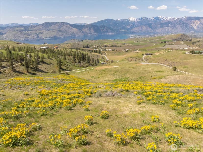 Property photo for 139 Mountain Ridge Lane, Chelan photo 29