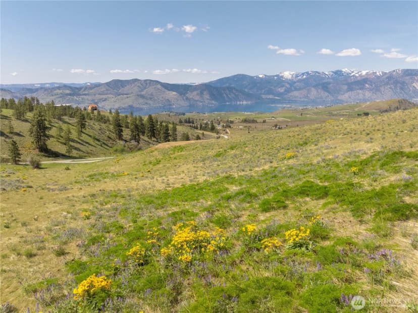 Property photo for 139 Mountain Ridge Lane, Chelan photo 28